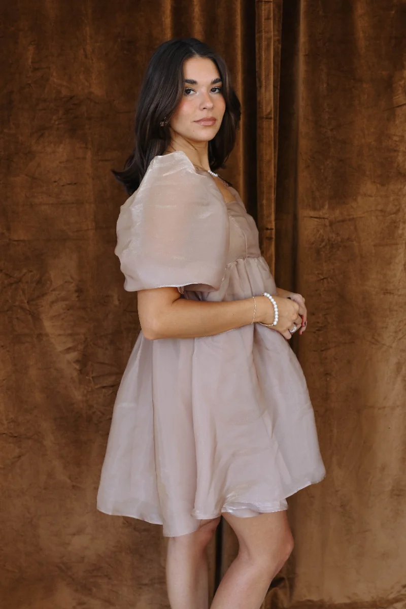Alana Taupe Gold Shimmer Short Puff Sleeve Mini Dress - Image 6
