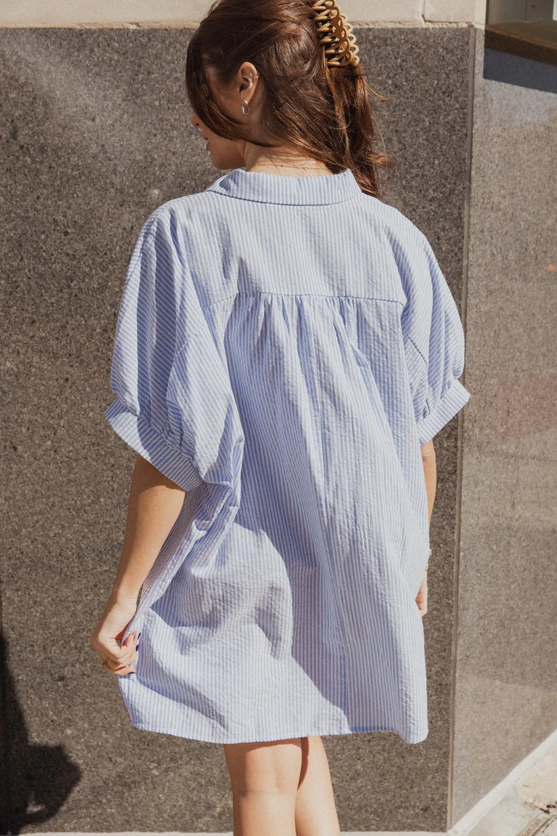 Alanna Blue & White Striped Button Front Dress - Image 4