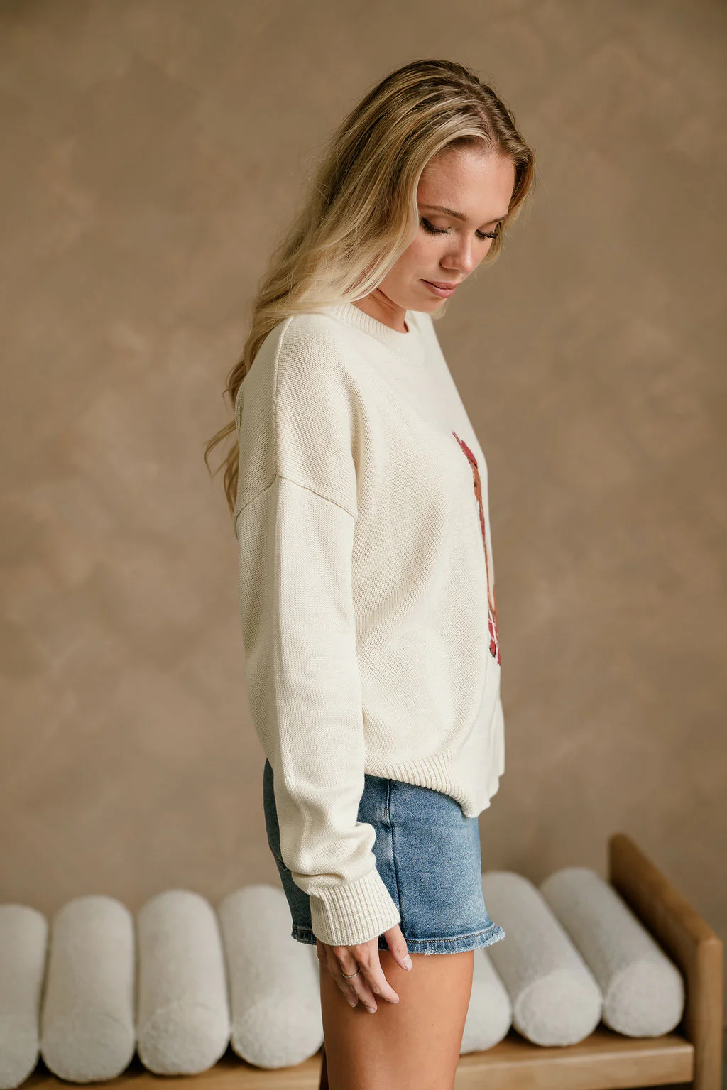 Chandler Cream Western Dog Sweater - Image 5