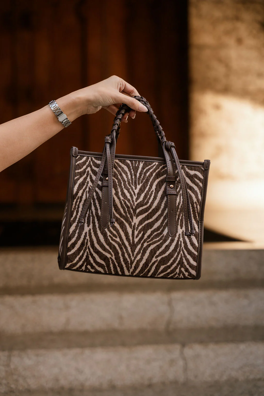 Dinsdale Chocolate Brown & Cream Zebra Purse