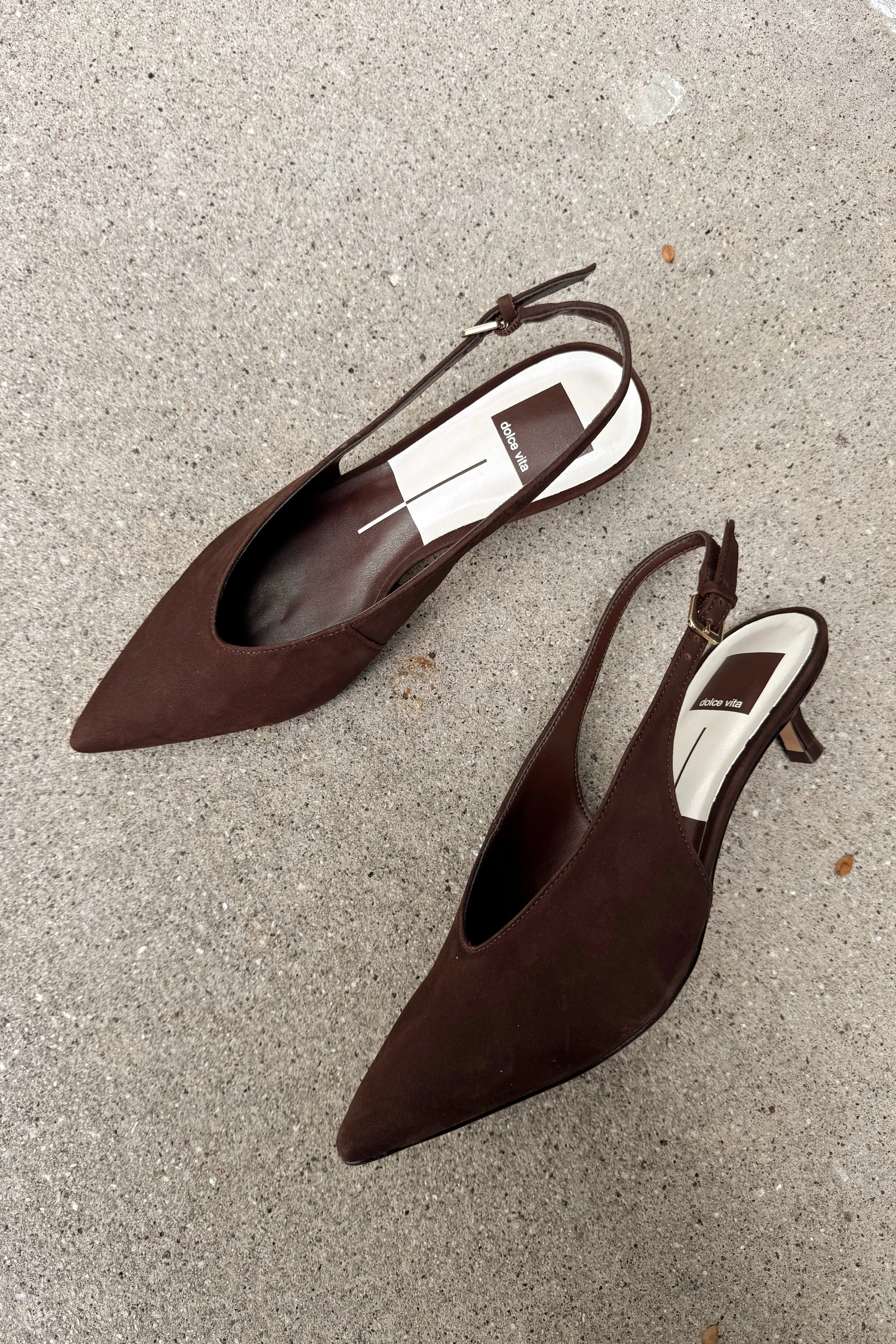 Dolce Vita Alenna Dark Brown Suede Heel