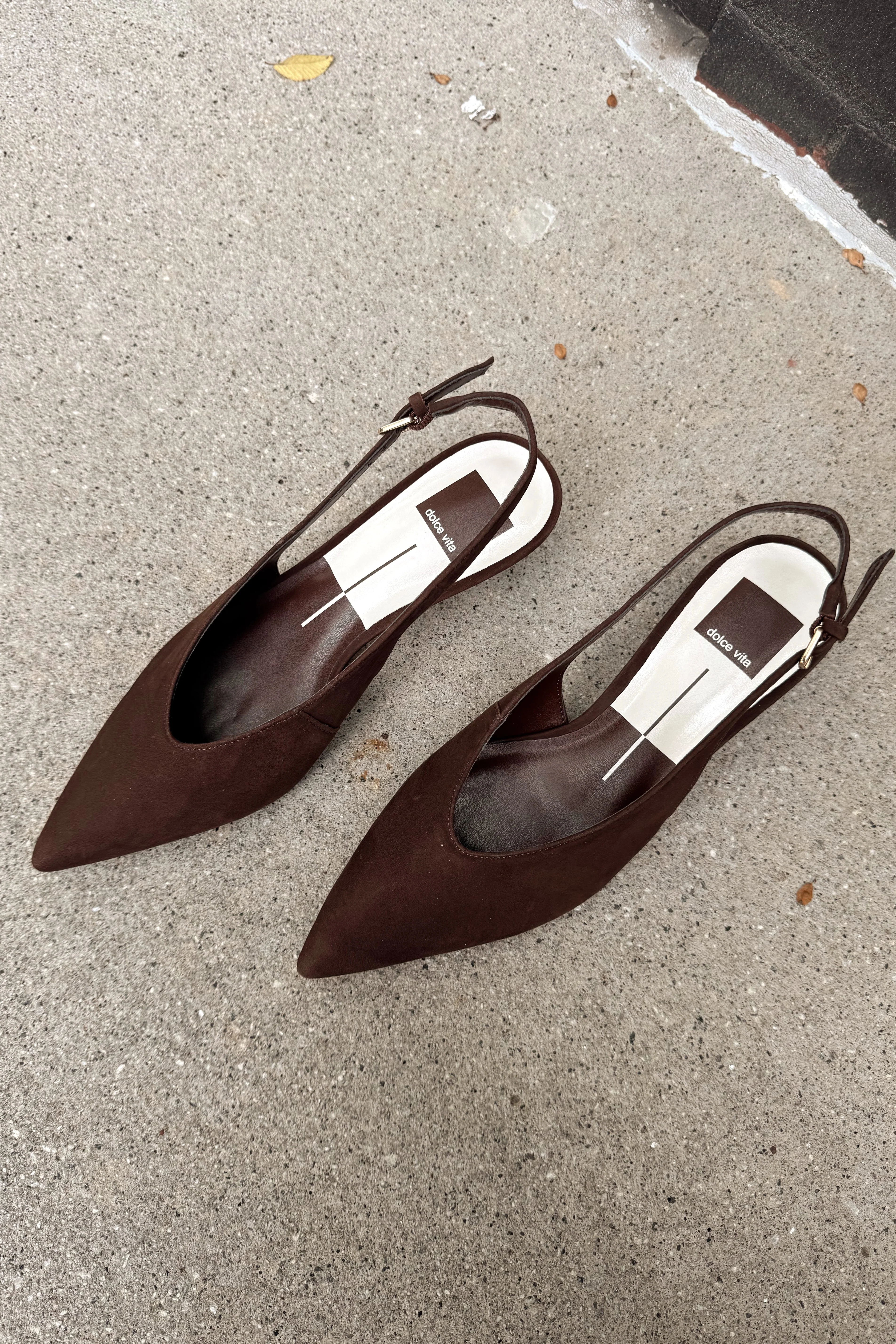 Dolce Vita Alenna Dark Brown Suede Heel - Image 2