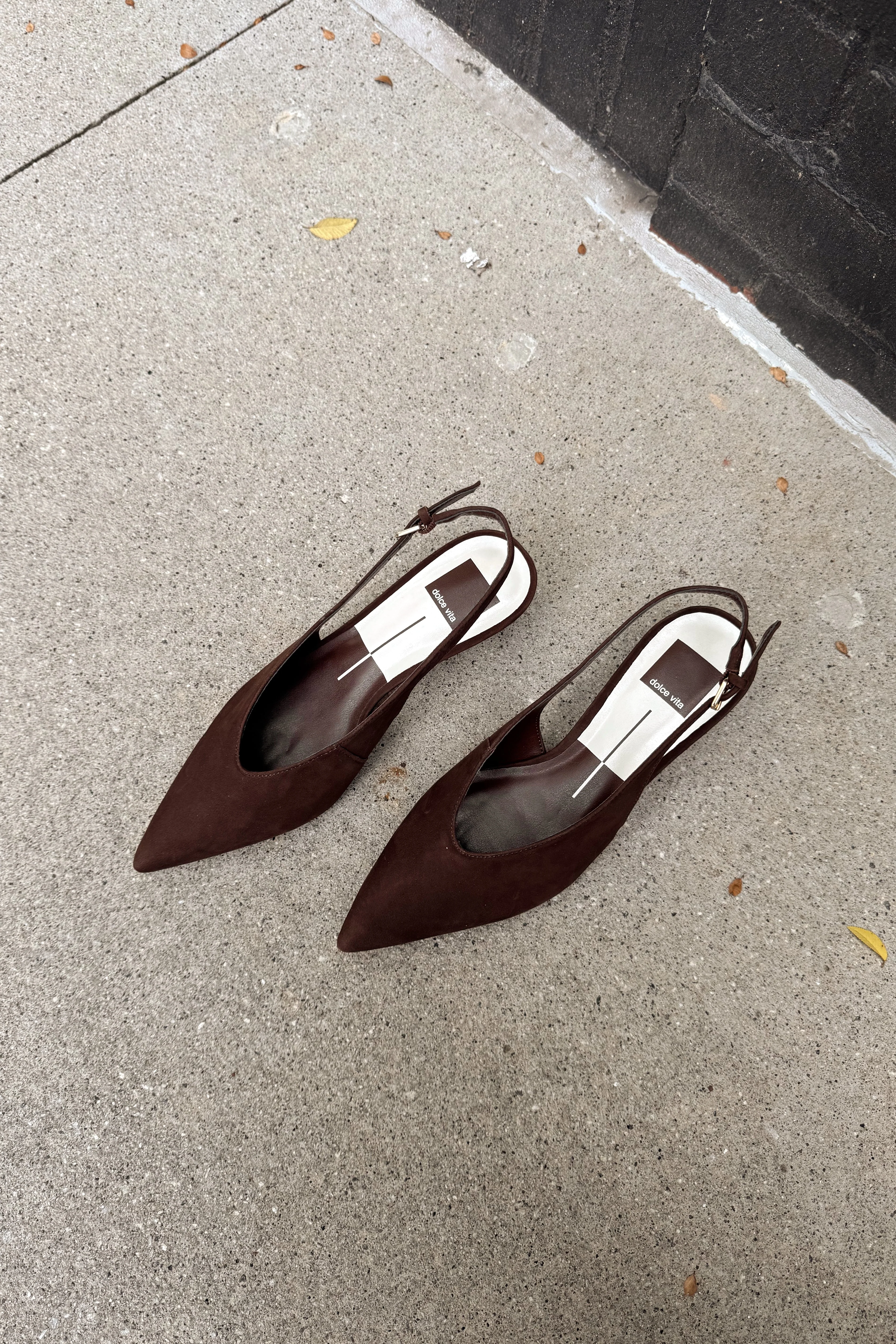 Dolce Vita Alenna Dark Brown Suede Heel - Image 5