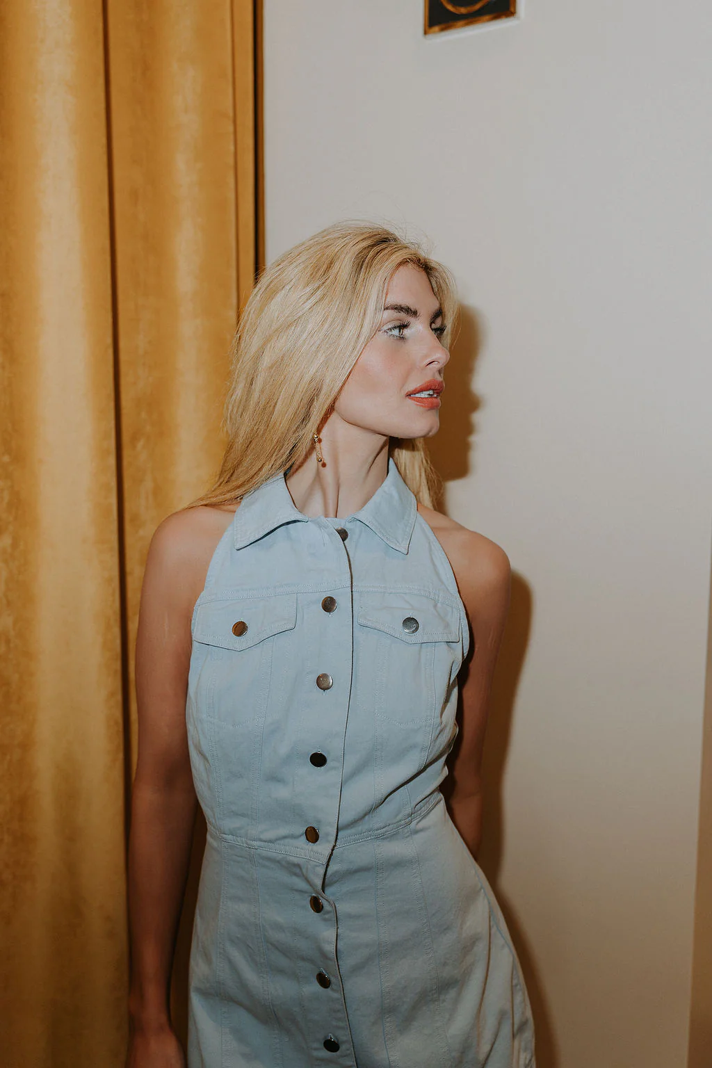 Eleanor Sleeveless Button Front Mini Dress - Image 16