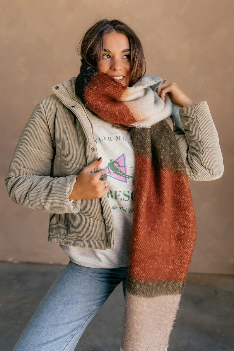 Jasmine Beige Multi Striped Fringe Scarf - Image 4