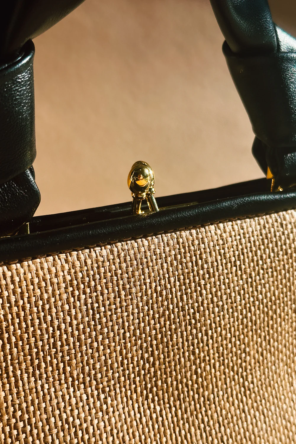 Julissa Tan Woven & Black Purse - Image 3