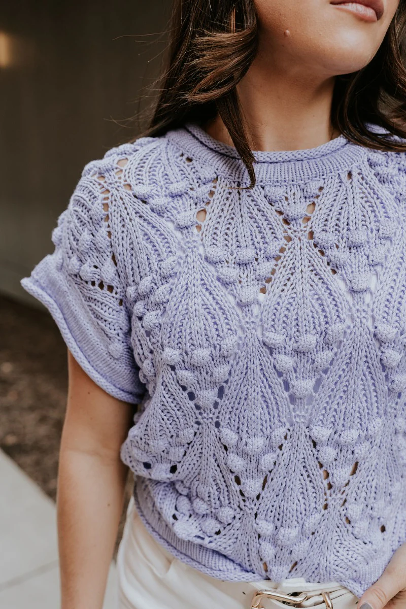 Megan Periwinkle Crochet Short Sleeve Sweater - Image 2