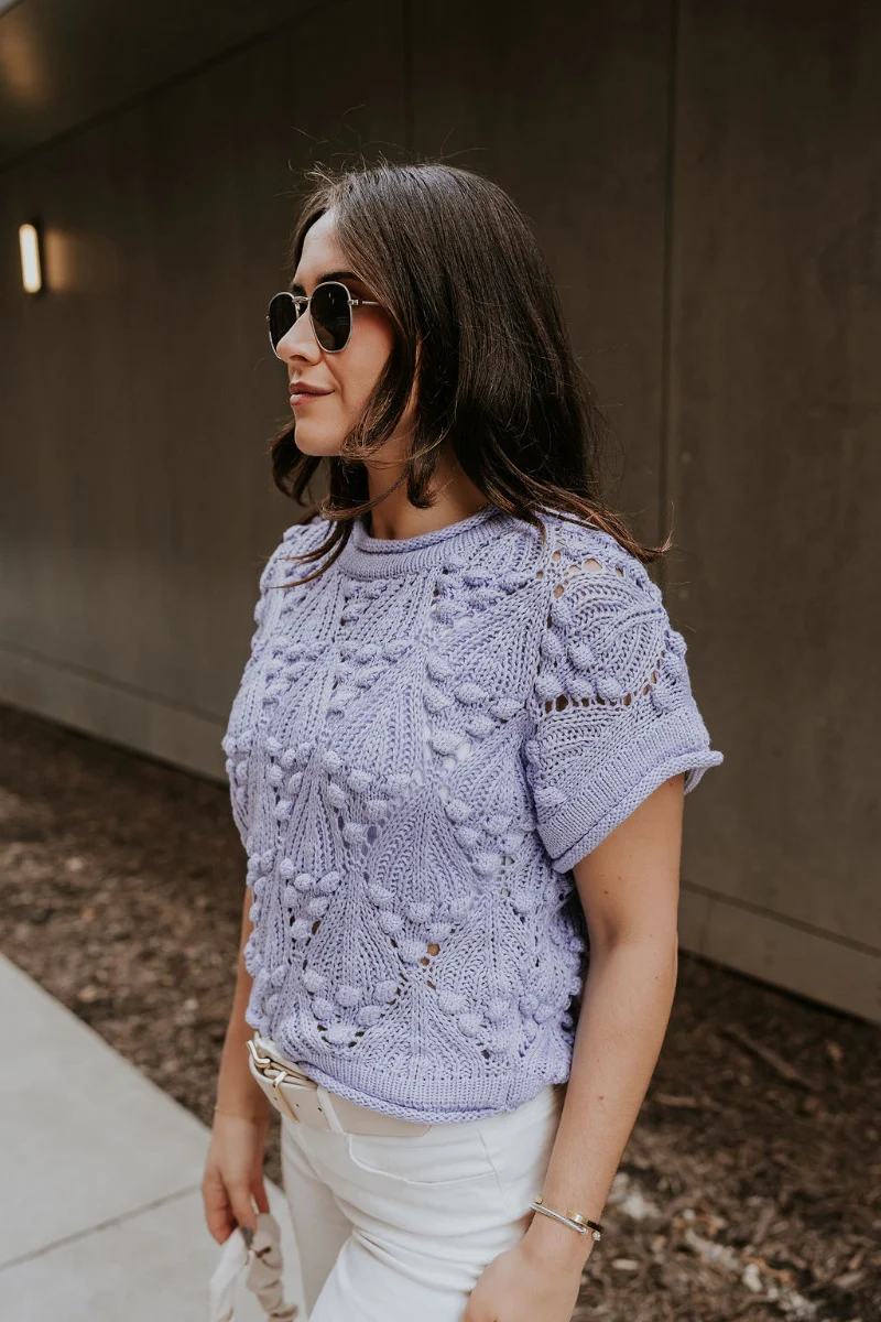 Megan Periwinkle Crochet Short Sleeve Sweater - Image 4