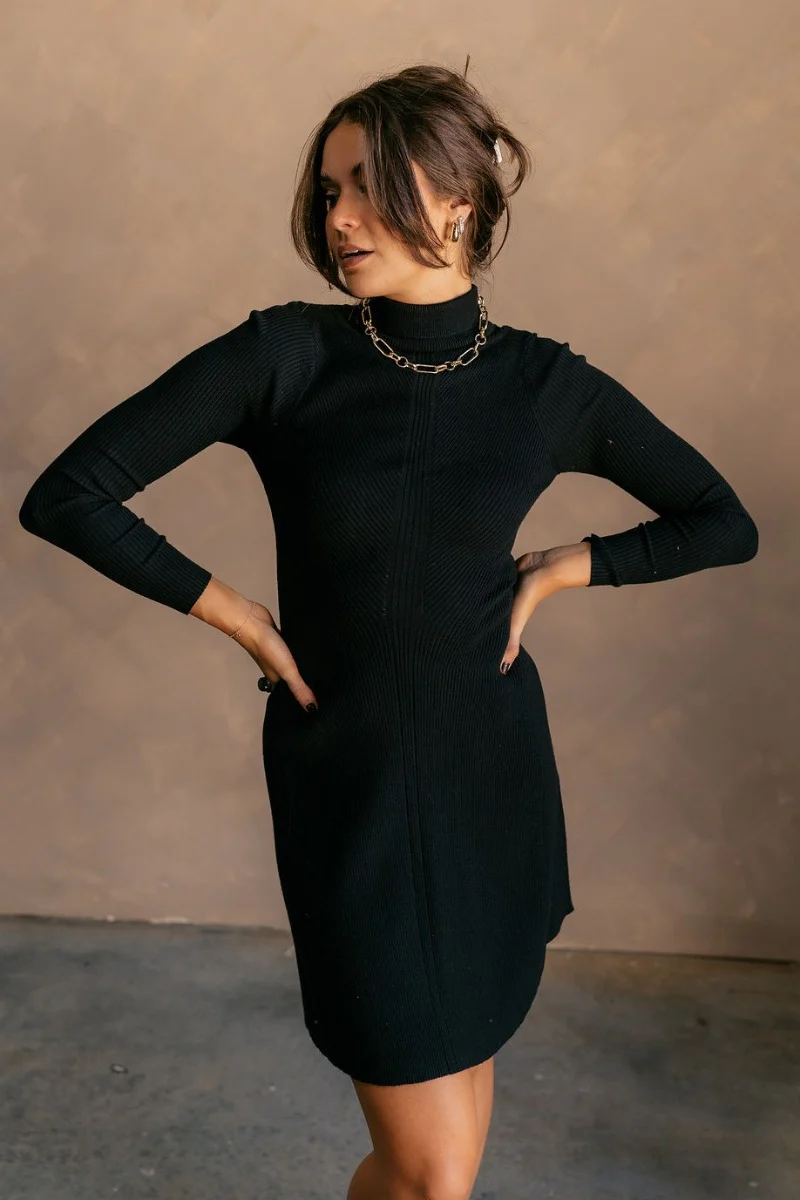 Melina Black Turtleneck Sweater Dress - Image 3