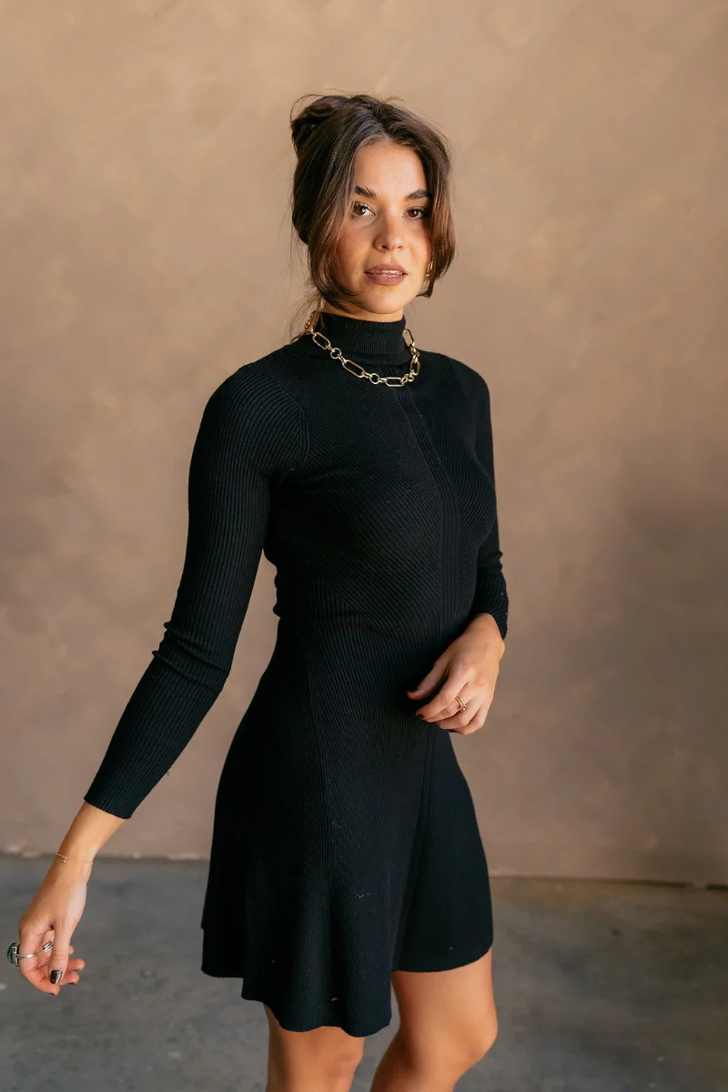 Melina Black Turtleneck Sweater Dress - Image 4