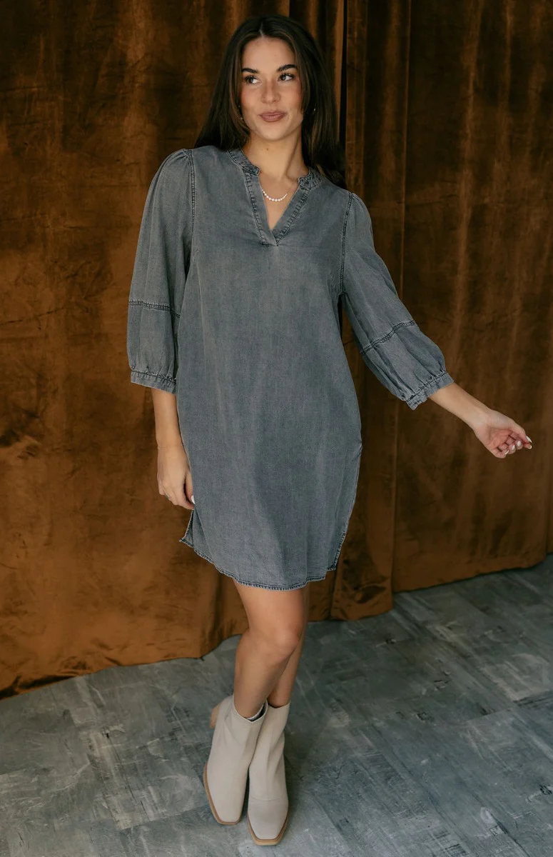 Naomi Denim Black Half Sleeve Mini Dress