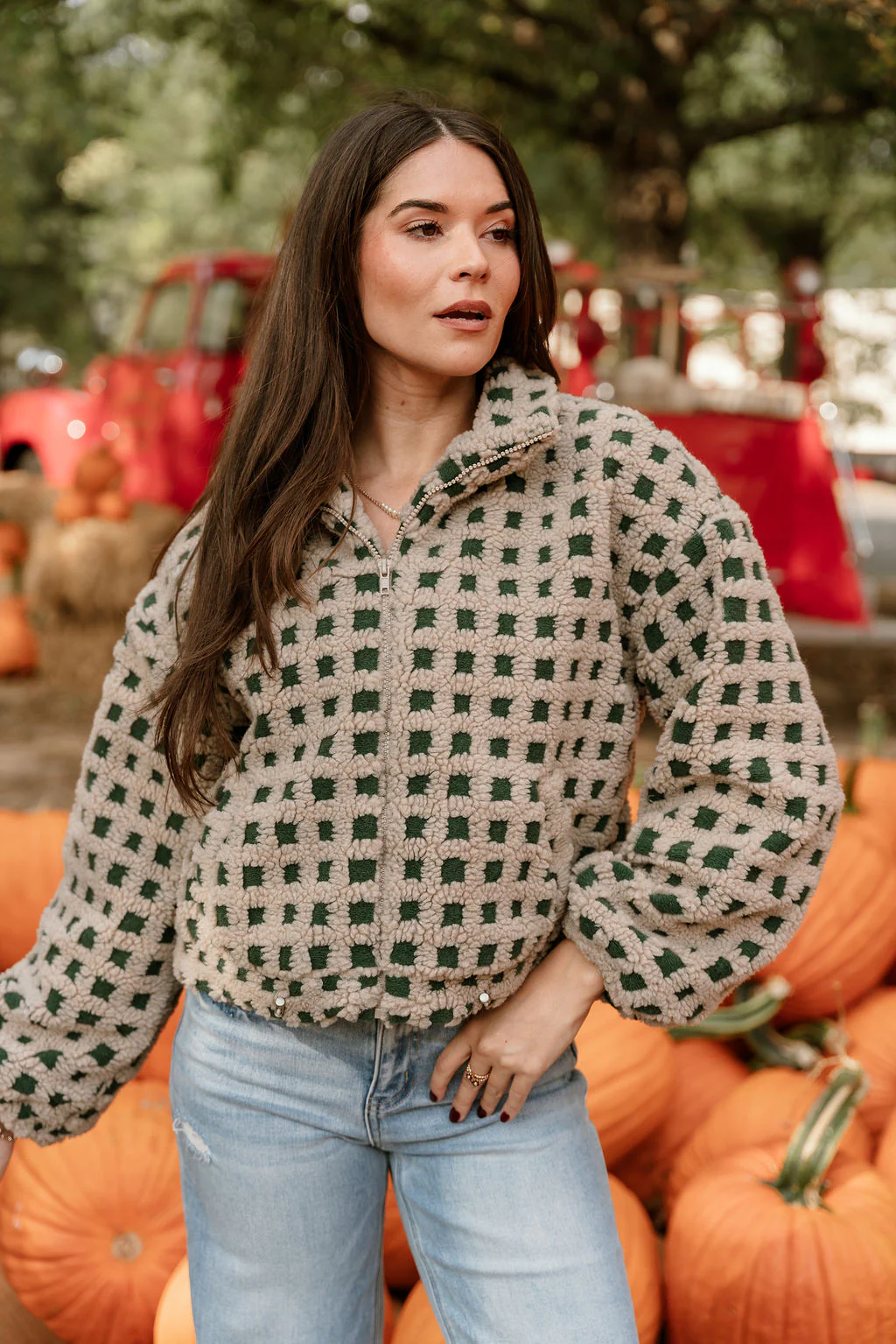 Nora Taupe & Green Shearling Plaid Jacket