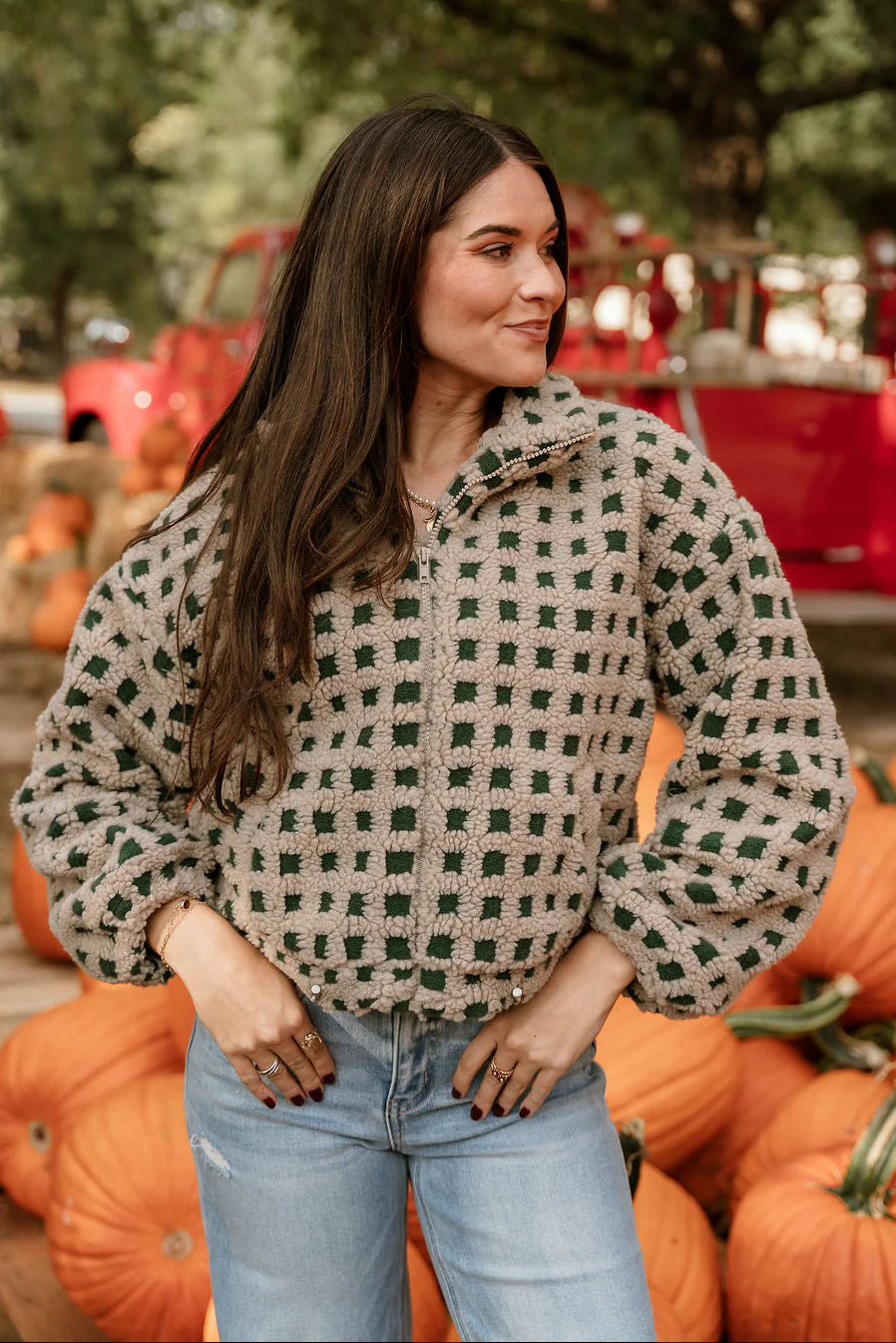 Nora Taupe & Green Shearling Plaid Jacket - Image 5