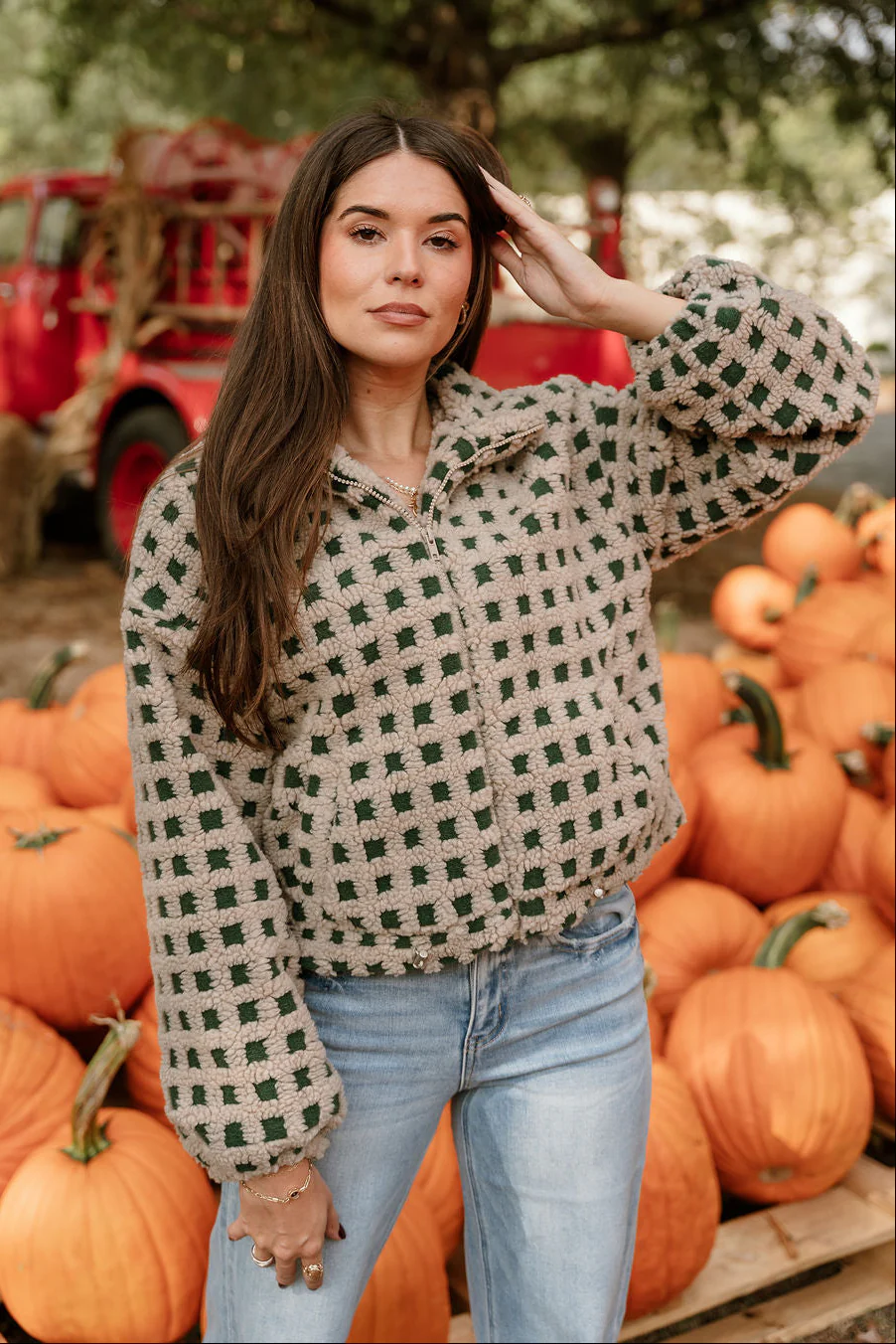 Nora Taupe & Green Shearling Plaid Jacket - Image 7