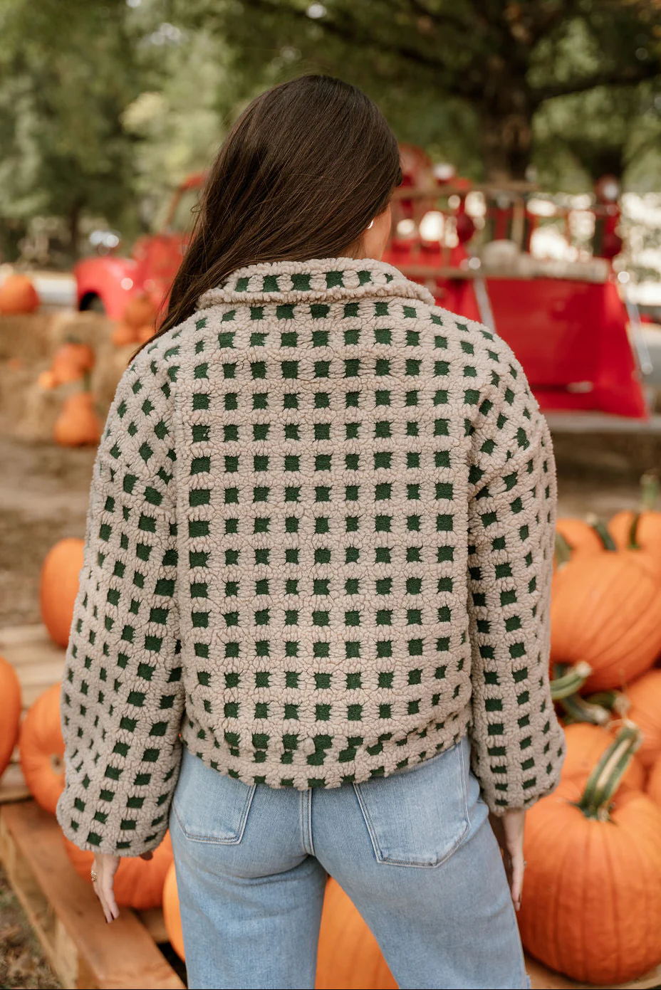Nora Taupe & Green Shearling Plaid Jacket - Image 9