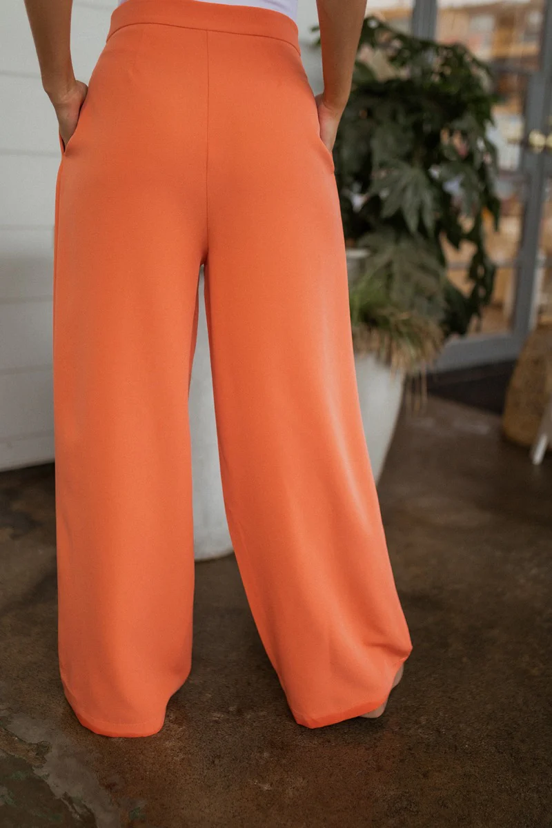 Pop Of Color Pants - Image 7