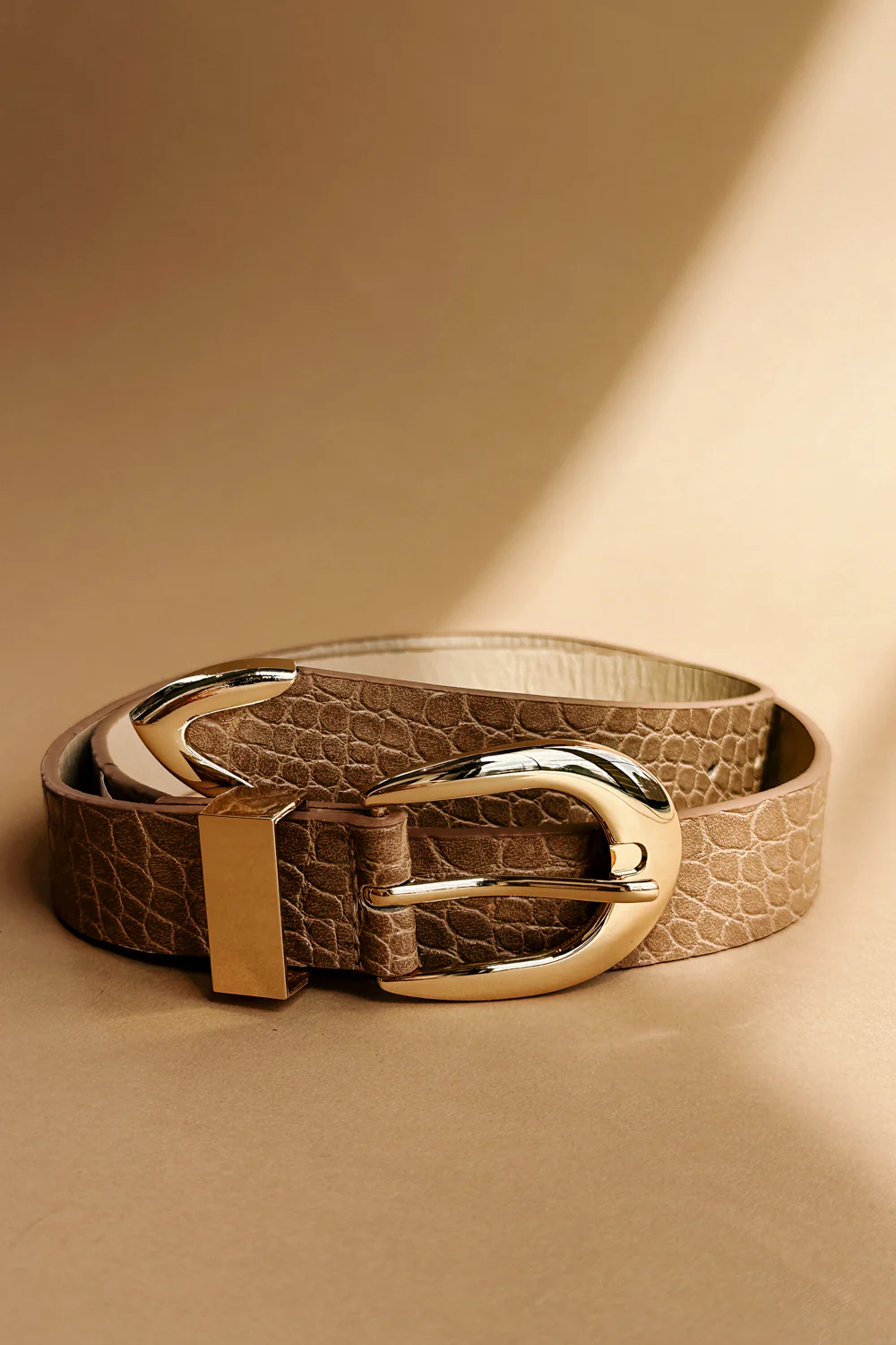 Rhea Taupe Croc & Gold Buckle Belt - Image 3