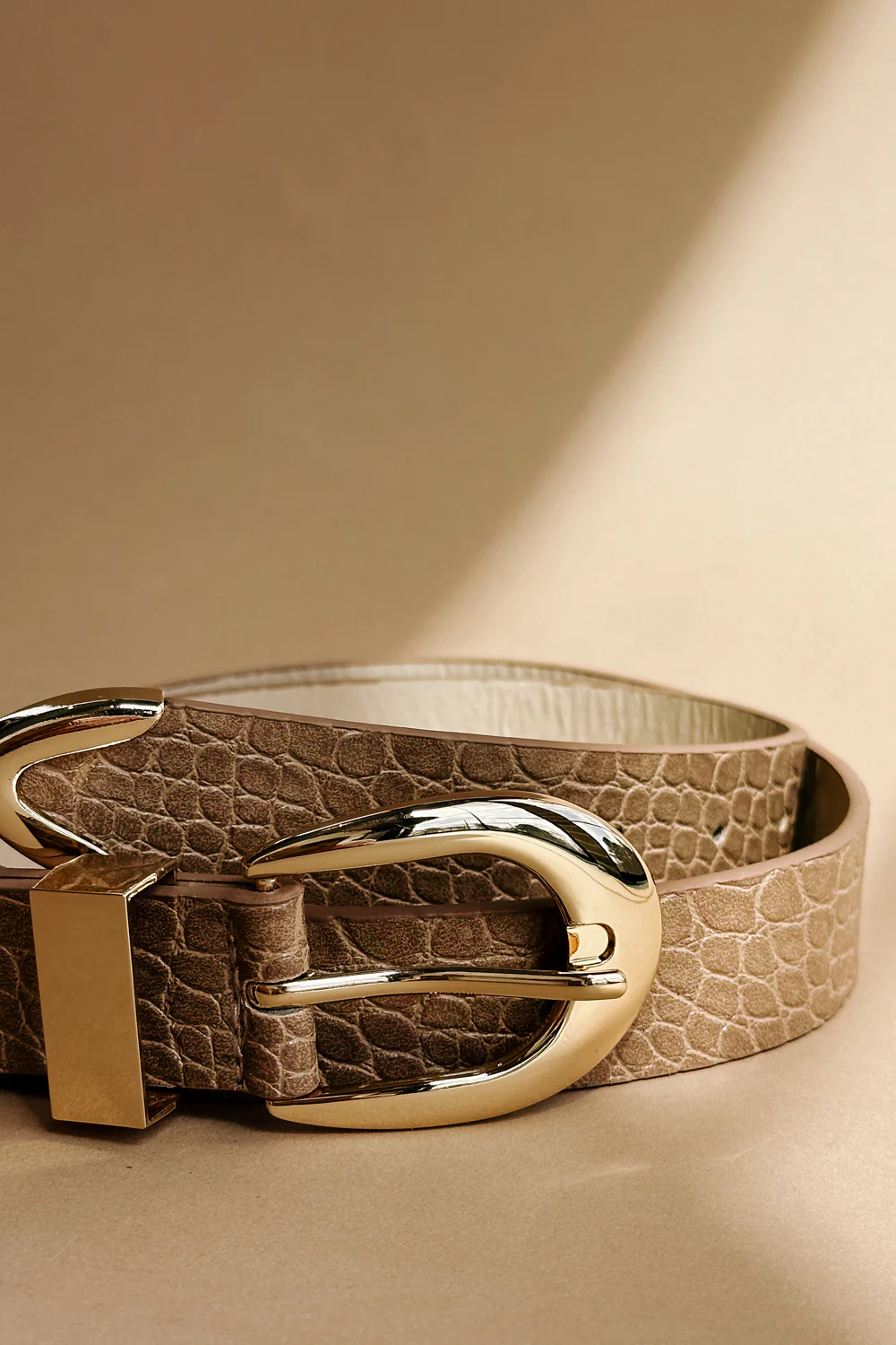 Rhea Taupe Croc & Gold Buckle Belt - Image 4