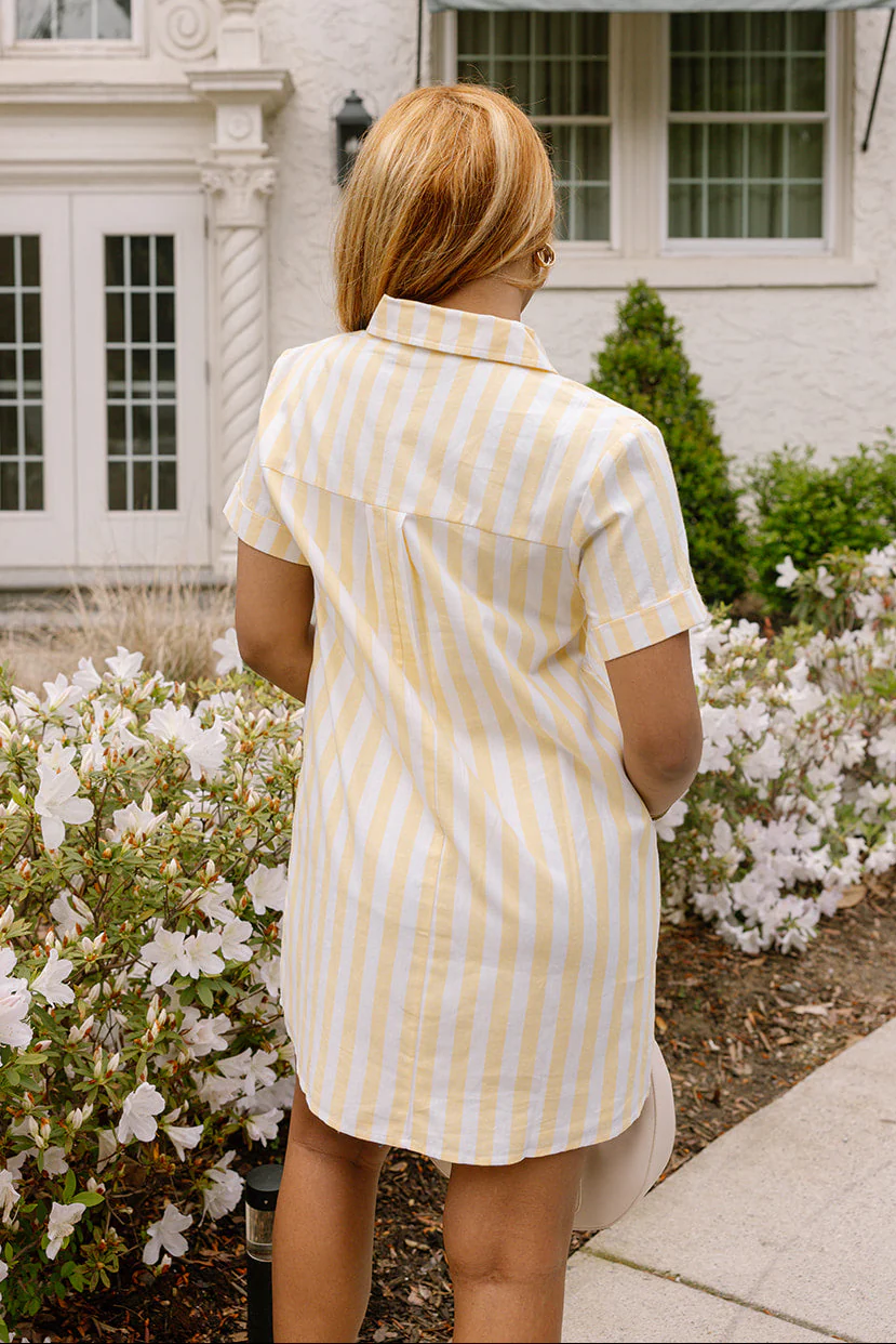 Saylor Yellow & White Stripe Mini Dress - Image 5