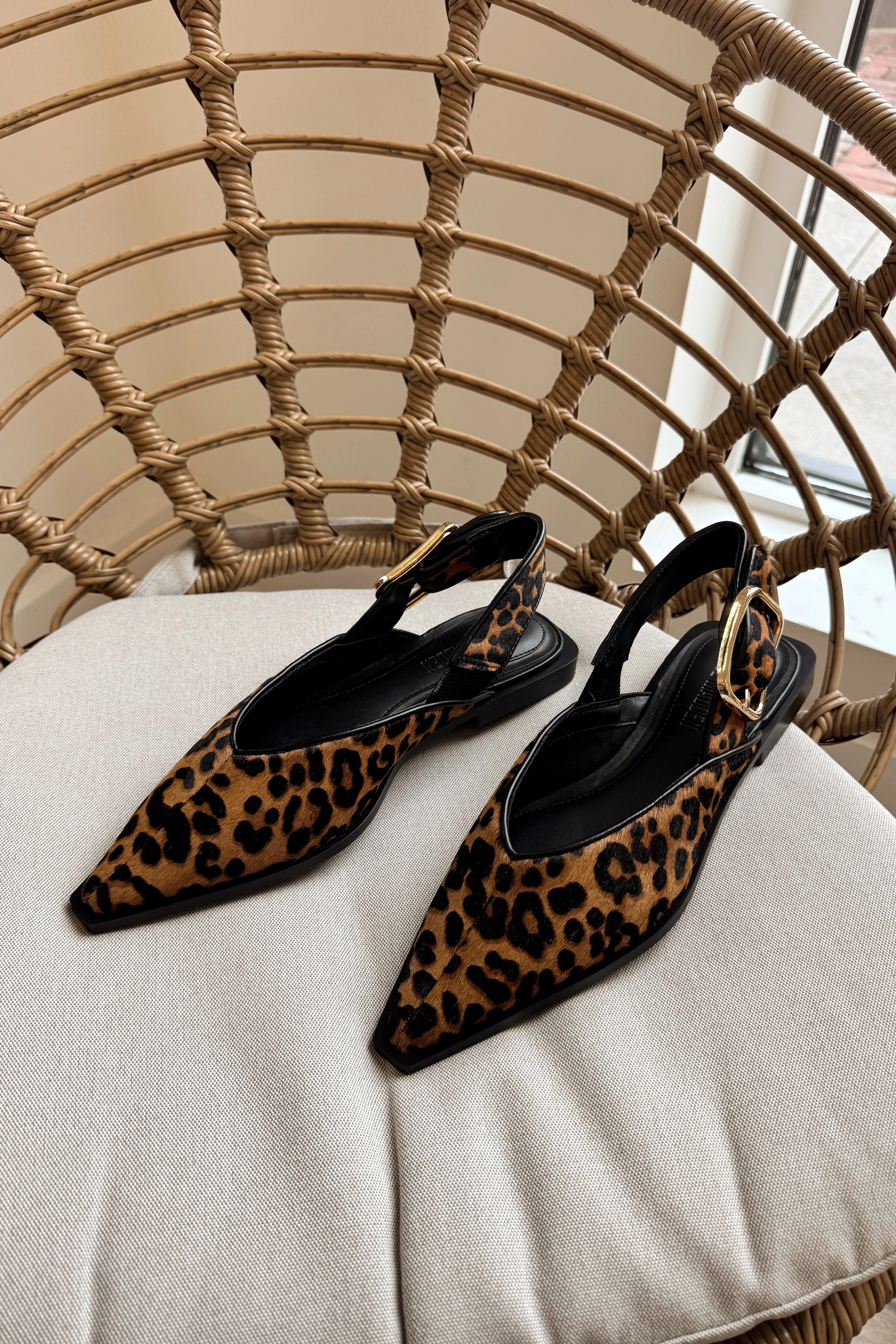 Steve Madden Shay Leopard Pointed Toe Flat