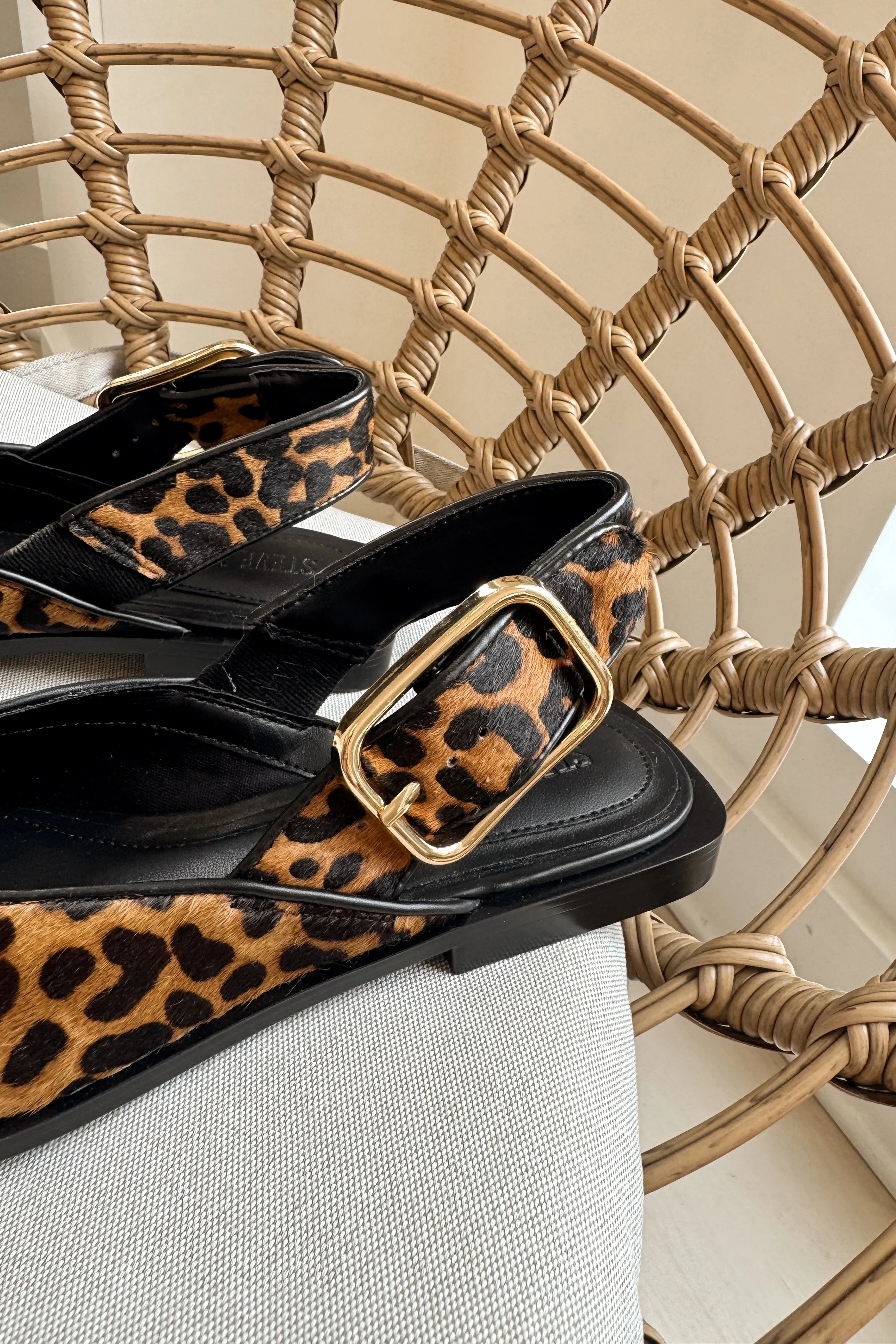 Steve Madden Shay Leopard Pointed Toe Flat - Image 3