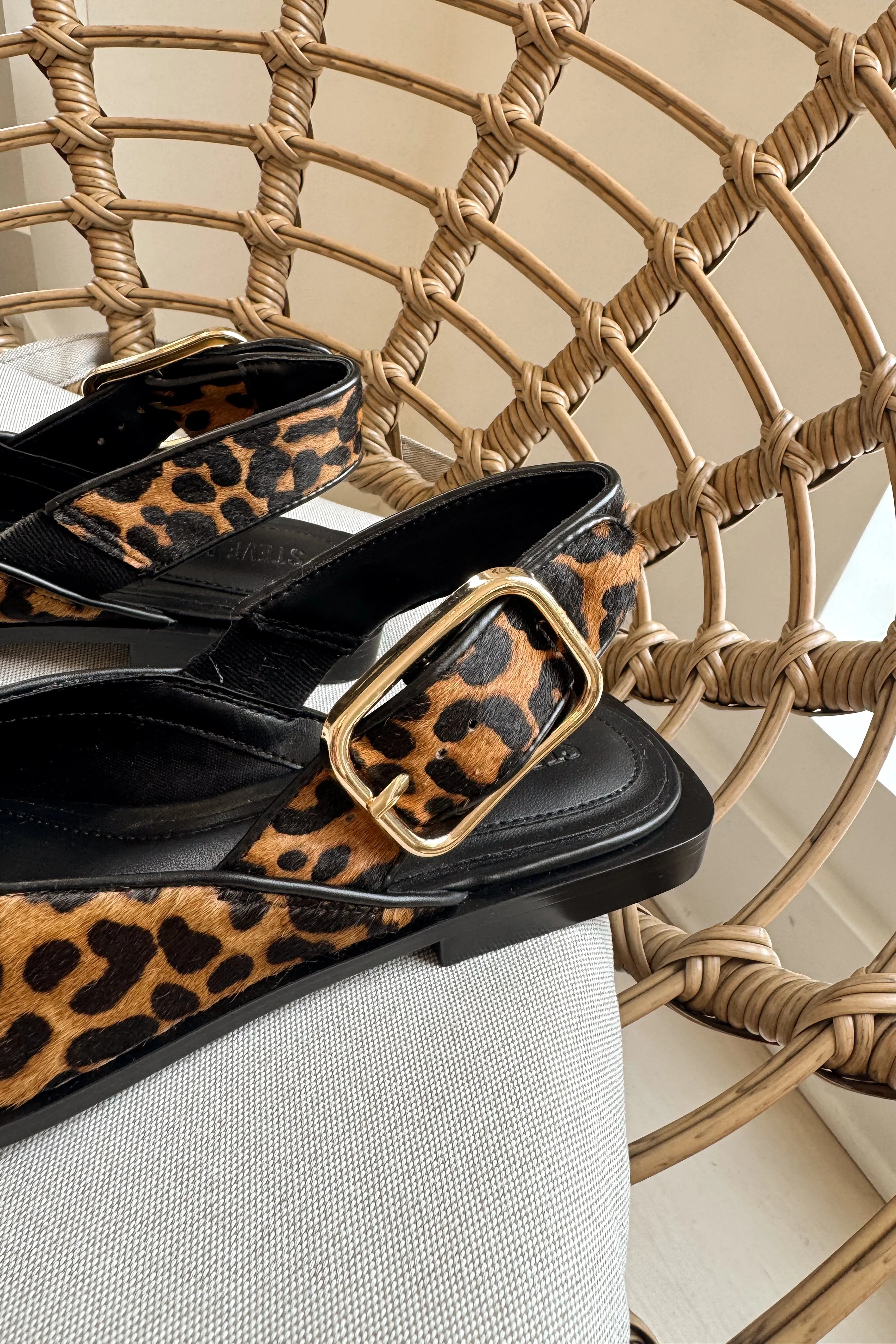 Steve Madden Shay Leopard Pointed Toe Flat - Image 6