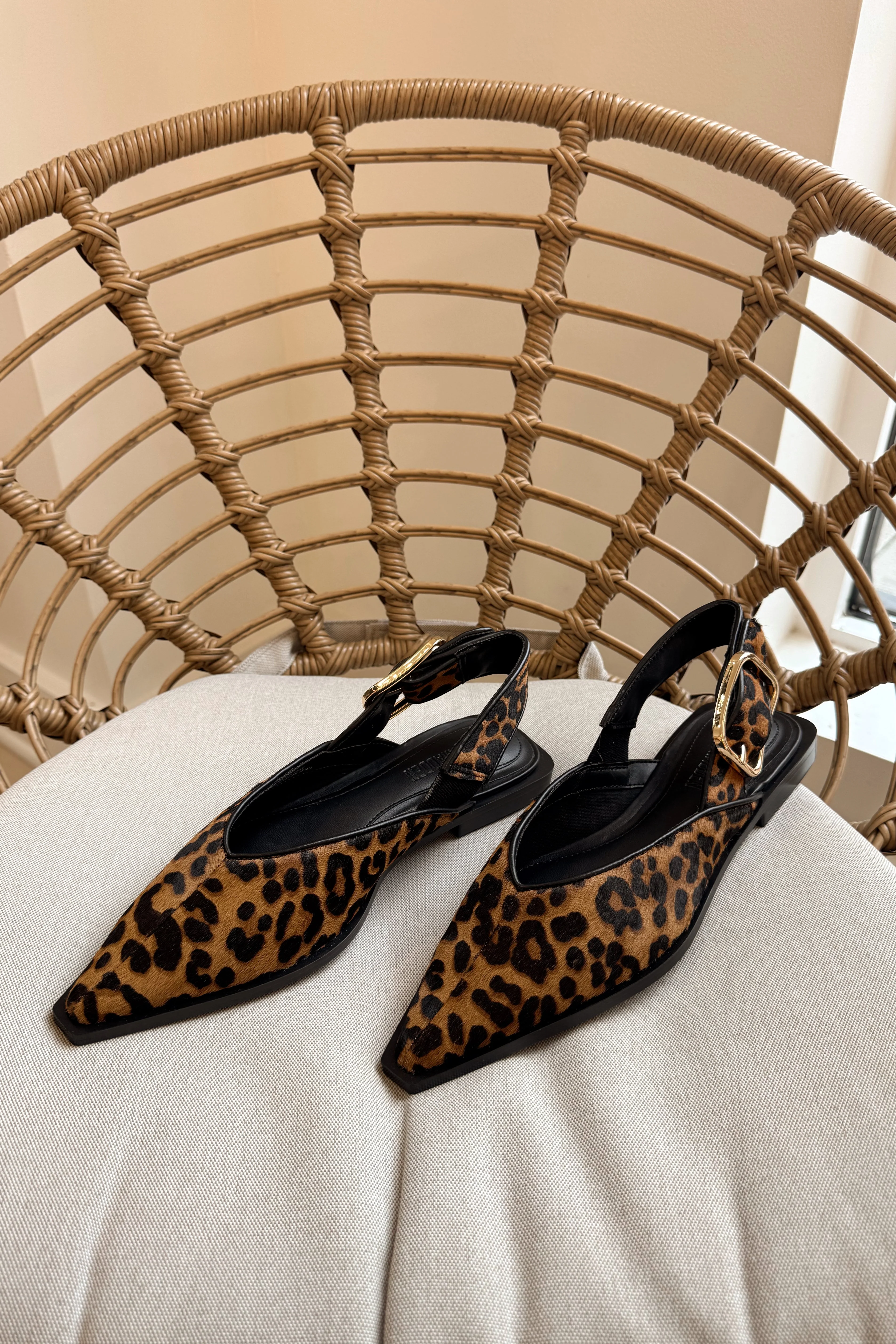 Steve Madden Shay Leopard Pointed Toe Flat - Image 8