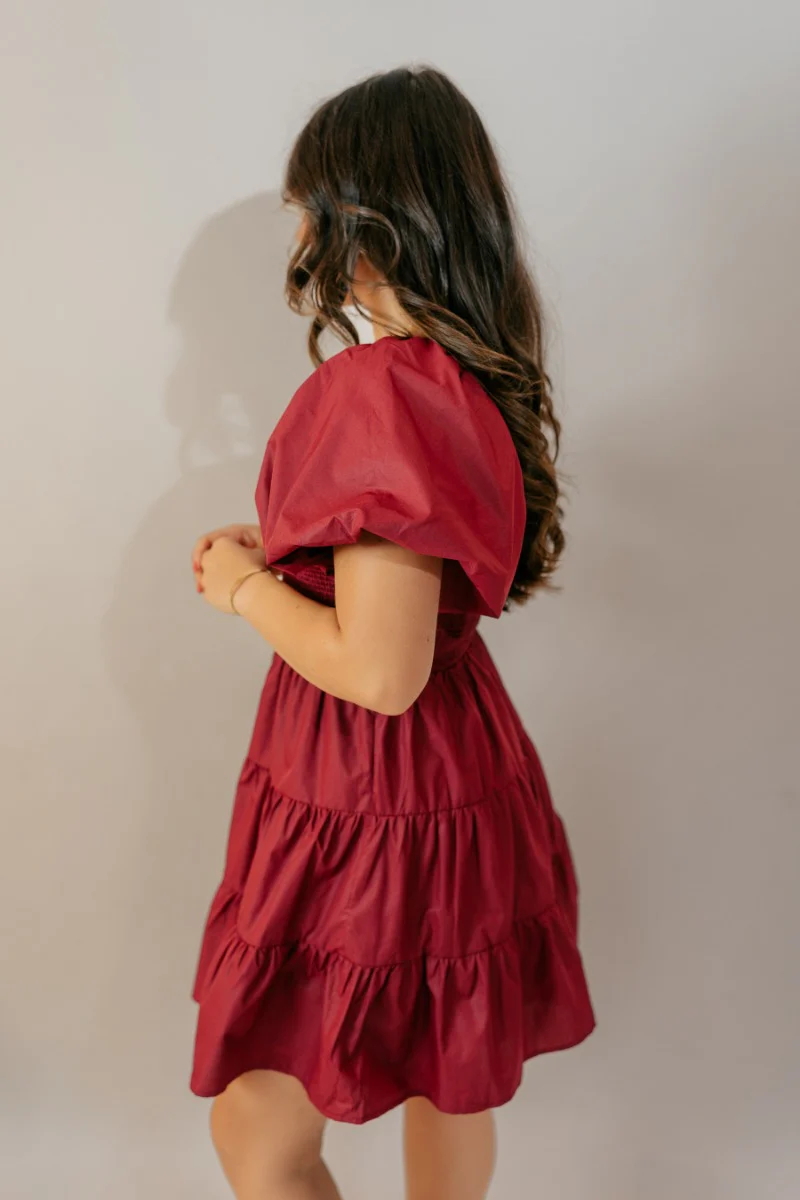 Willow Burgundy Puff Sleeve Mini Dress - Image 6