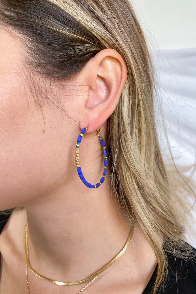 Winter Skies Earrings