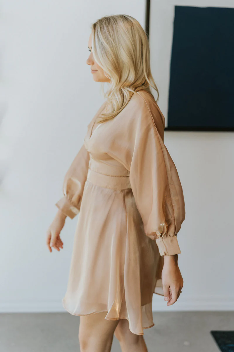 Wonderful Life Dress in Champagne - Image 5