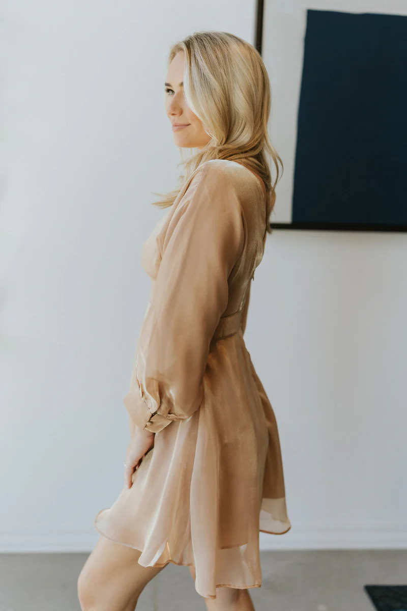 Wonderful Life Dress in Champagne - Image 6