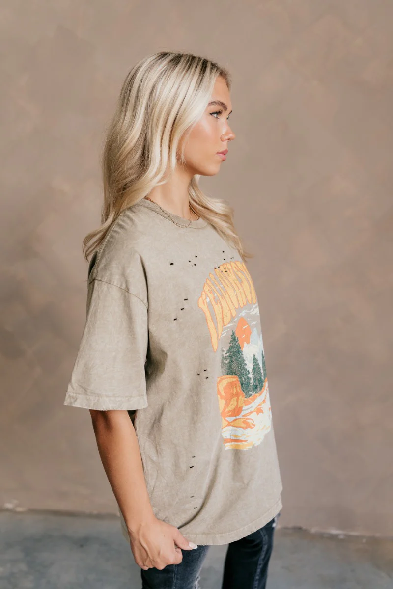 Yellowstone Taupe Distressed Graphic Tee - Image 5
