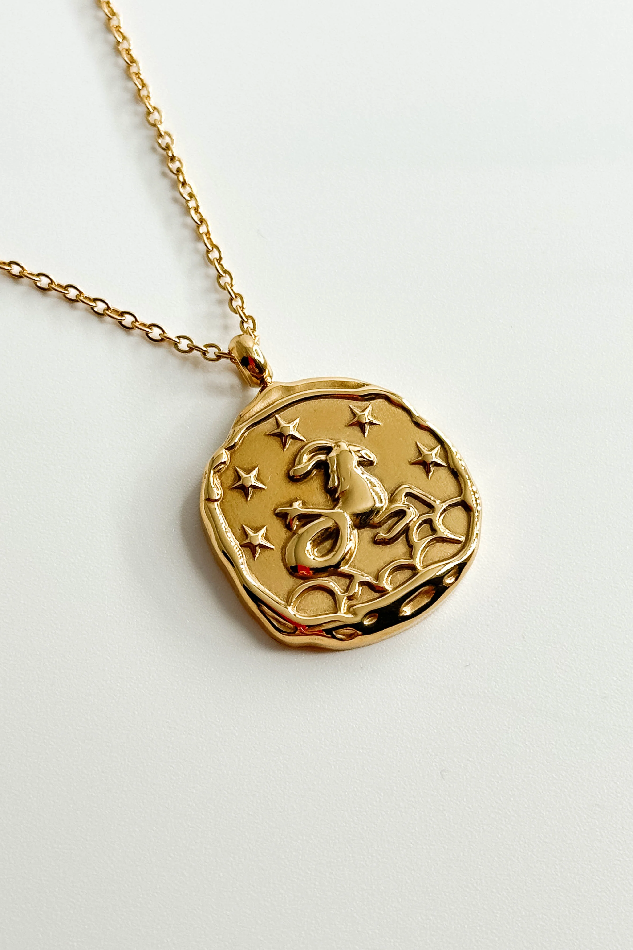 Zodiac Gold Coin Necklace - Image 21